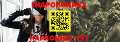 ешки Донецк