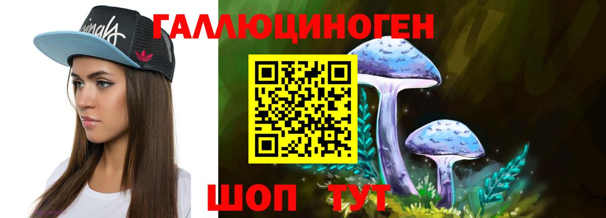 Карасук  Псилоцибиновые грибы мухоморы  продажа наркотиков  Вход с VPN 