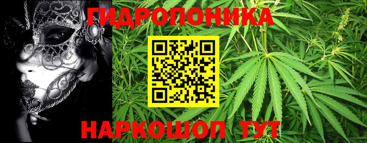 Каннабис планчик  Вход с VPN  Каннабис план  Карасук  Конопля гибрид  Бошки Шишки план 
